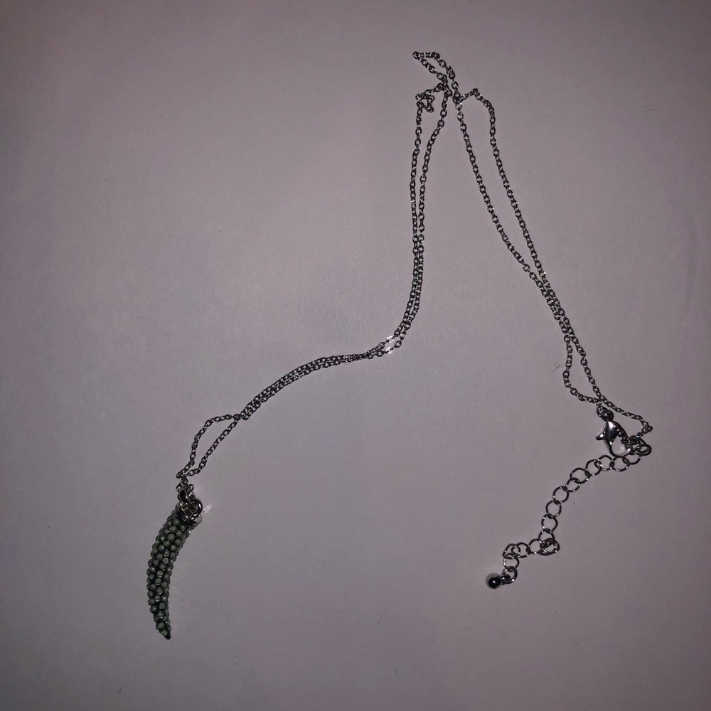 Jewelry: Long Necklace with Charm